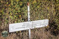 Watermark_47IMG_1679
