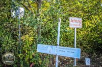 Watermark_49IMG_1681