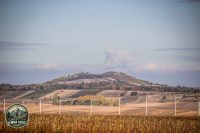 Watermark_4IMG_1641