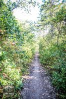 Watermark_51IMG_1684