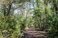 Watermark_52IMG_1685
