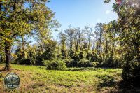 Watermark_53IMG_1686