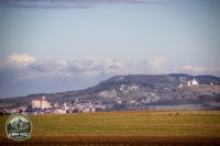 Watermark_5IMG_1642