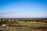Watermark_80IMG_1714