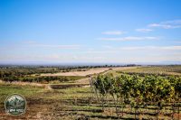 Watermark_81IMG_1715