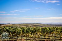 Watermark_82IMG_1716