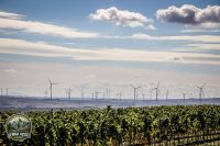 Watermark_83IMG_1718