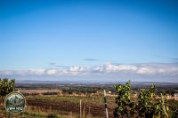 Watermark_84IMG_1720