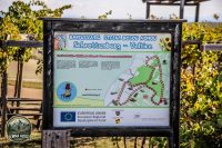 Watermark_94IMG_1731