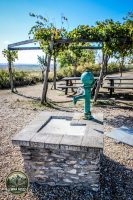Watermark_99IMG_1736