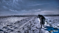 IMAG5951_tonemapped-Kopie
