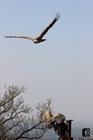 IMG_1746
