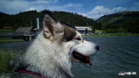 IMG_20190609_135242-Kopie
