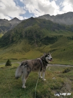 IMG_20190816_160247-Kopie