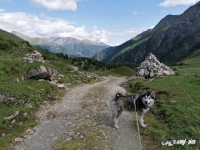 IMG_20190816_160903-Kopie