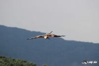 IMG_3691-Kopie