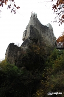 IMG_6899-Kopie