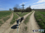 Burning feet 2018 (ORGA Vorabstart 21km)