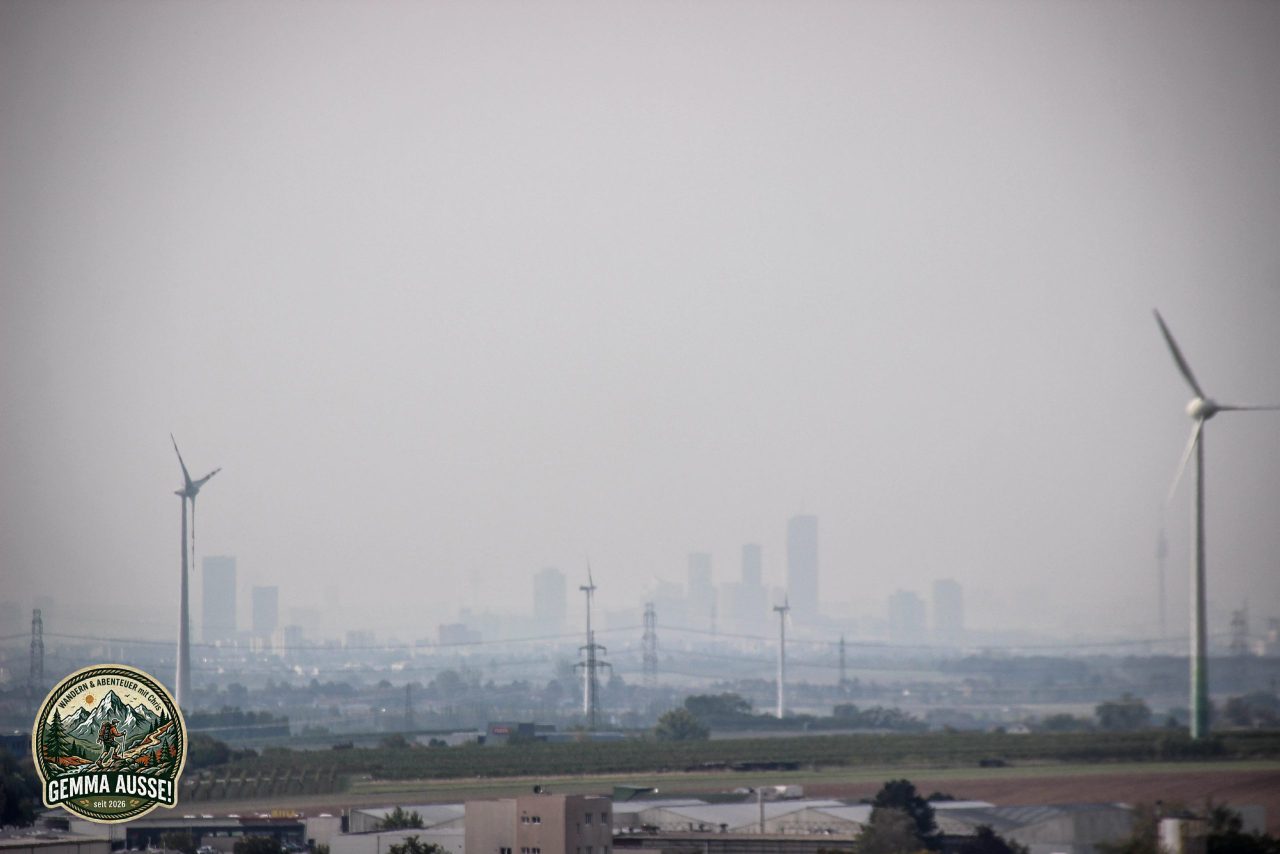 Watermark_70IMG_1503