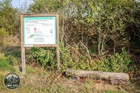 Watermark_10IMG_1431
