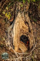 Watermark_11IMG_1432