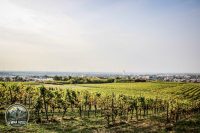 Watermark_12IMG_1433