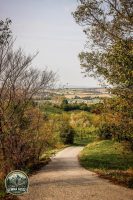 Watermark_15IMG_1436