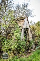 Watermark_18IMG_1439