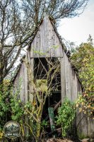 Watermark_19IMG_1440