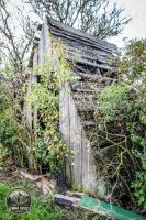 Watermark_20IMG_1441