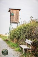 Watermark_21IMG_1442