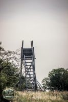 Watermark_31IMG_1454