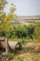 Watermark_38IMG_1459