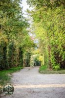 Watermark_3IMG_1423