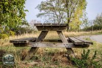 Watermark_41IMG_1464