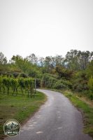 Watermark_42IMG_1465