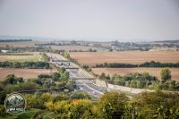 Watermark_43IMG_1466