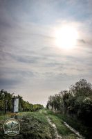 Watermark_44IMG_1468
