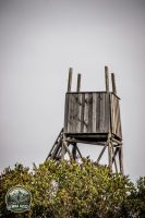 Watermark_47IMG_1471