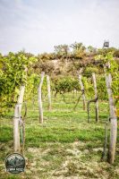 Watermark_48IMG_1473