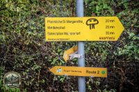 Watermark_4IMG_1425