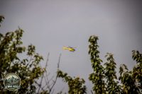 Watermark_55IMG_1484
