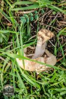 Watermark_56IMG_1486