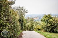 Watermark_59IMG_1490
