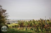 Watermark_5IMG_1426