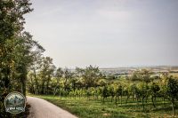 Watermark_64IMG_1496
