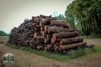 16IMG_8967-Kopie