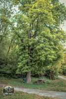 5IMG_8956-Kopie