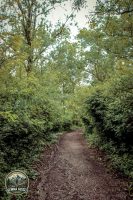 6IMG_8957-Kopie