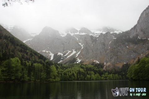 Ebensee - Oberösterreich (2)